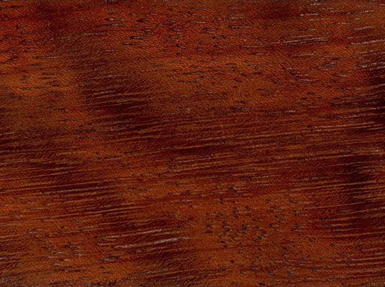 Dettaglio legno iroko lavorato