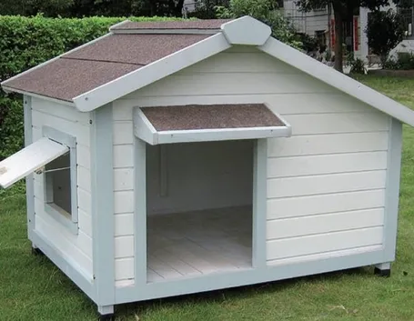 casetta per cani con finestra