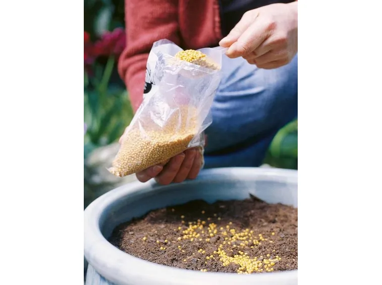 Concime sintetico