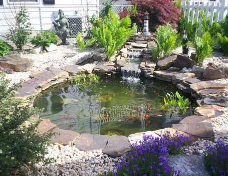 Bellissimo giardino acquatico casalingo
