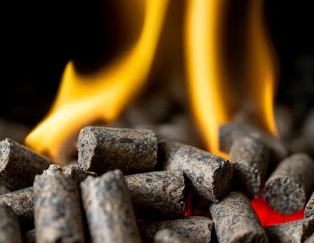 pellet