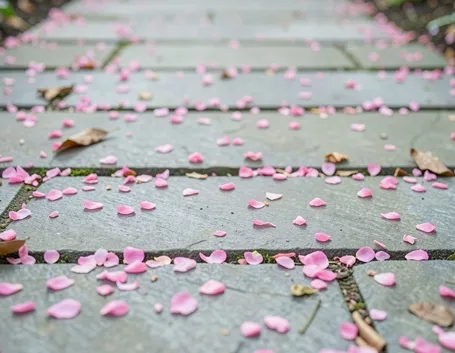 Pavimentazione di un giardino in pietra