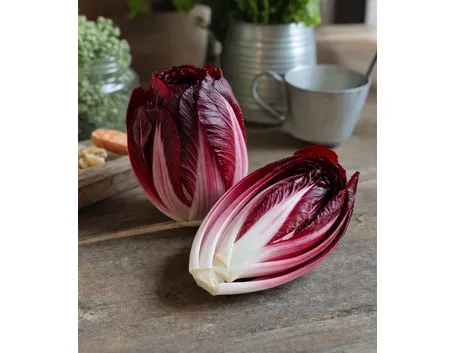 radicchio