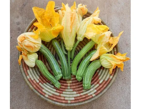 zucchine