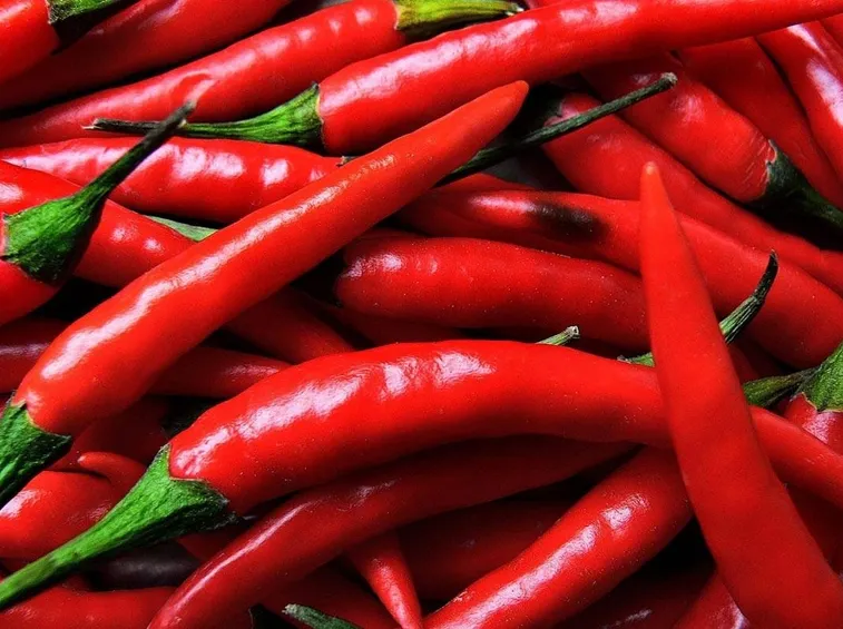 peperoncino