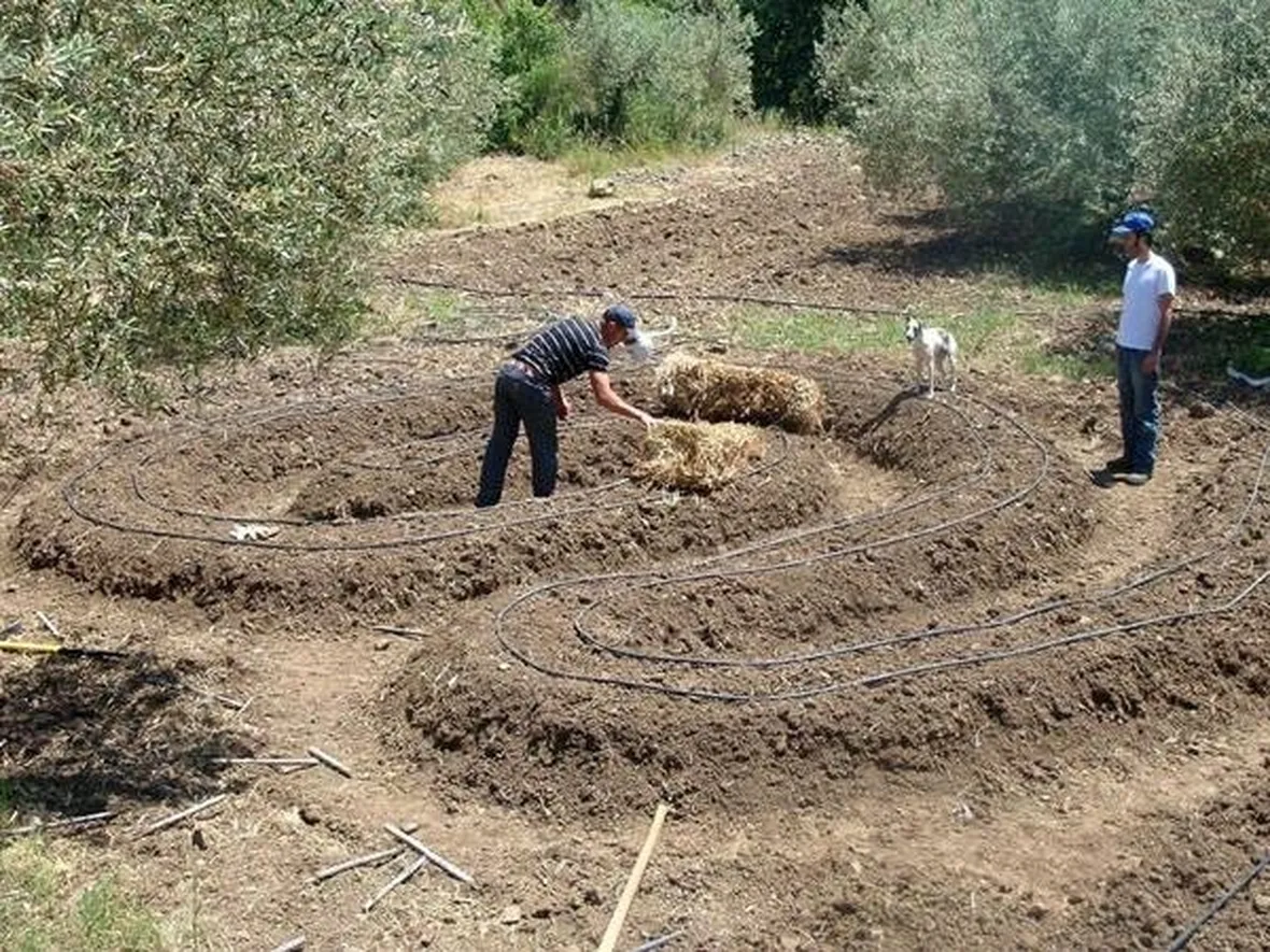 Orto