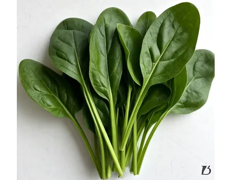 Spinaci