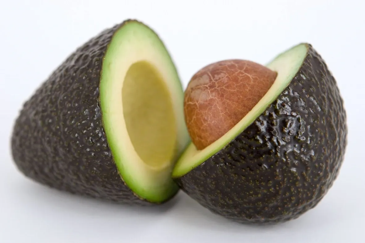 frutto