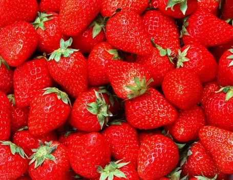 fragole