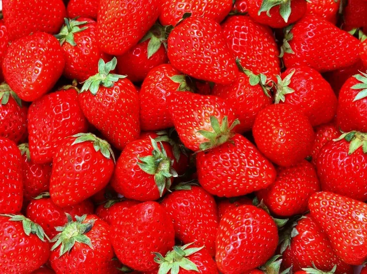 fragole