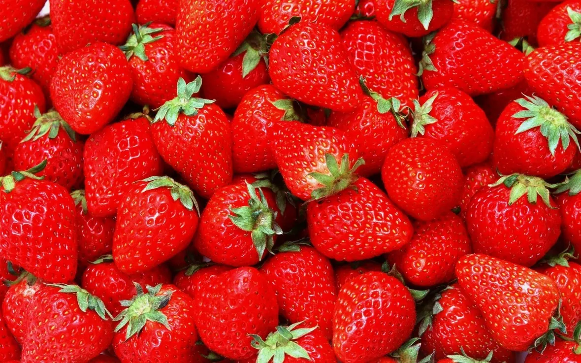 fragole